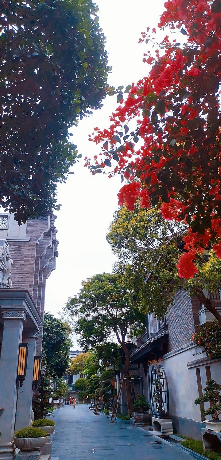 放飞心情畅游🏝️