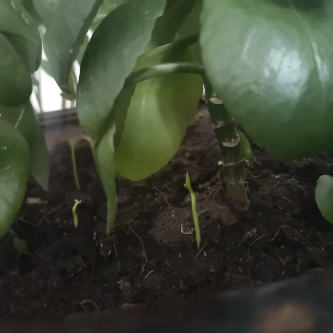 不辜负美食不辜负爱