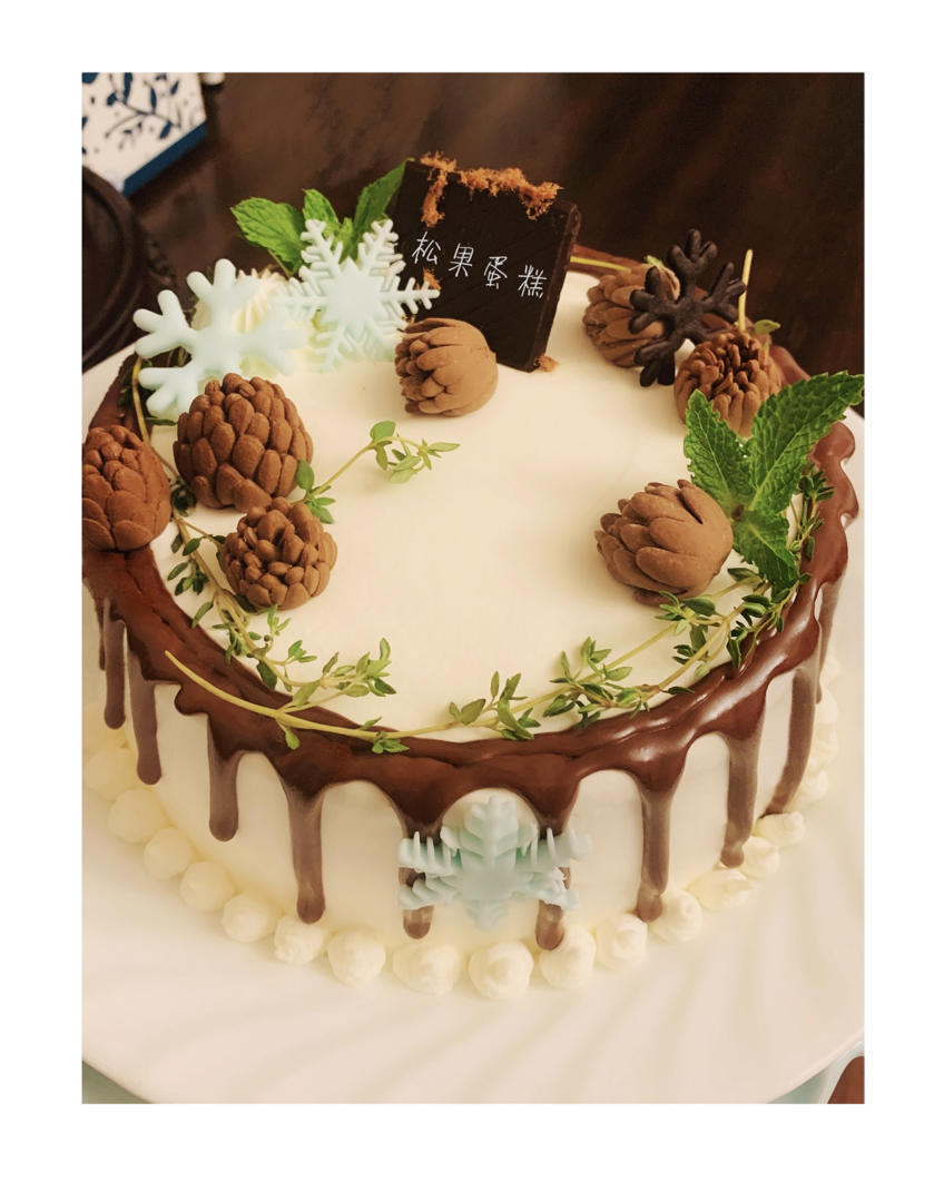 蛋糕上的松果们🐿