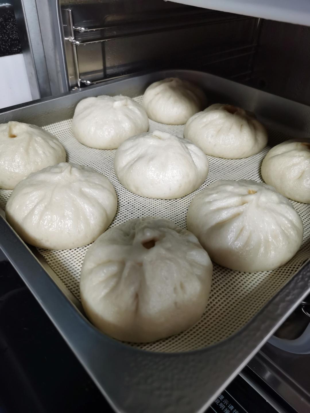 一次发酵肉包子