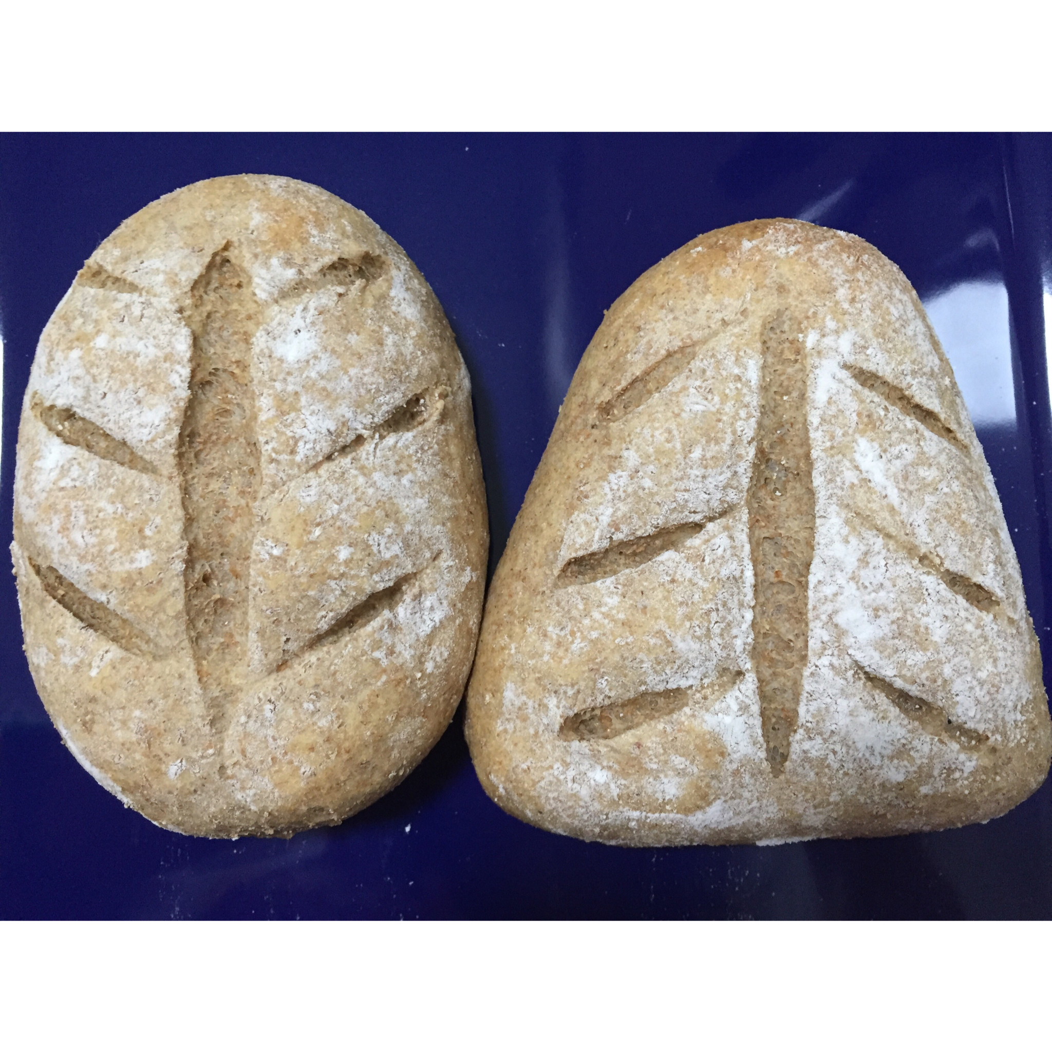 全麦红豆面包