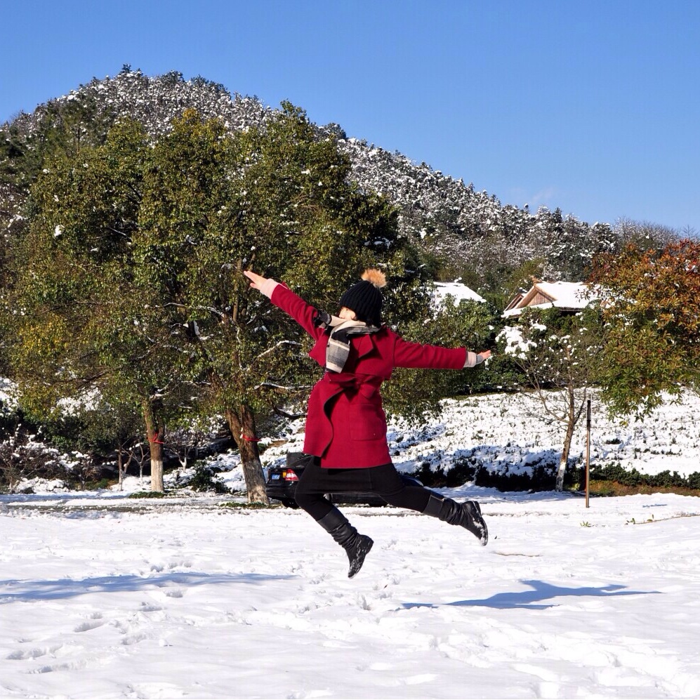 考拉考拉在路上