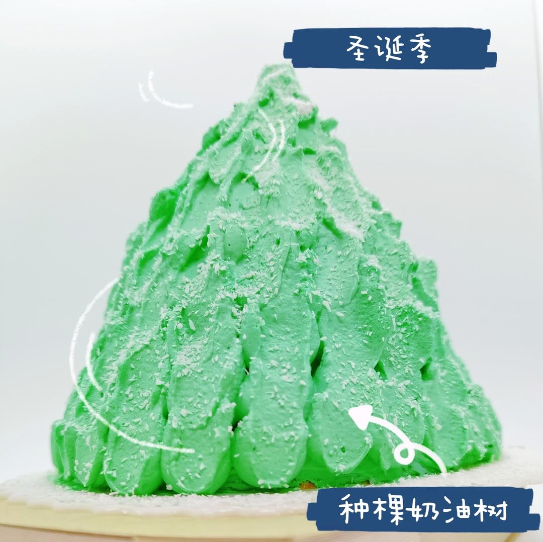 可以吃的圣诞树🎄圣诞节蛋糕甜品