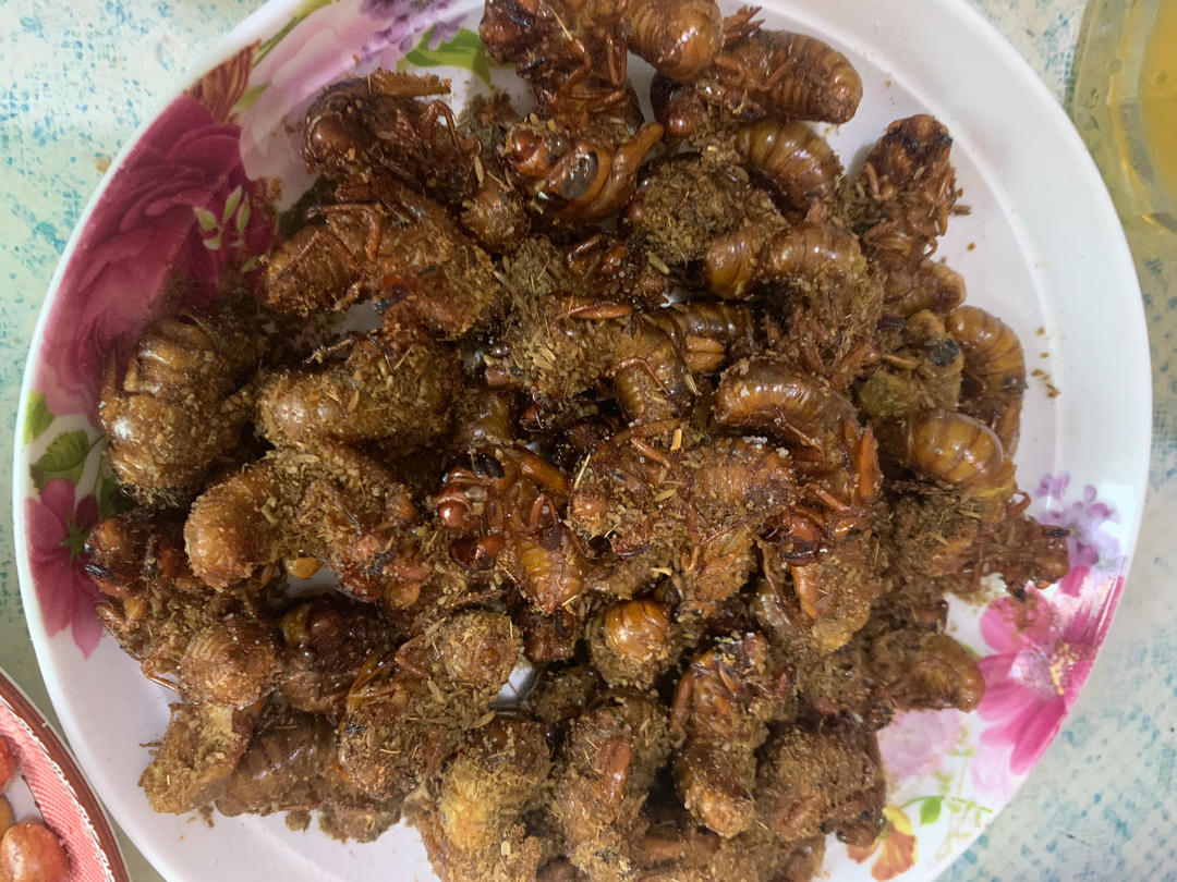 油炸金蝉