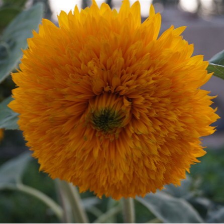 手机用户1790_zkou