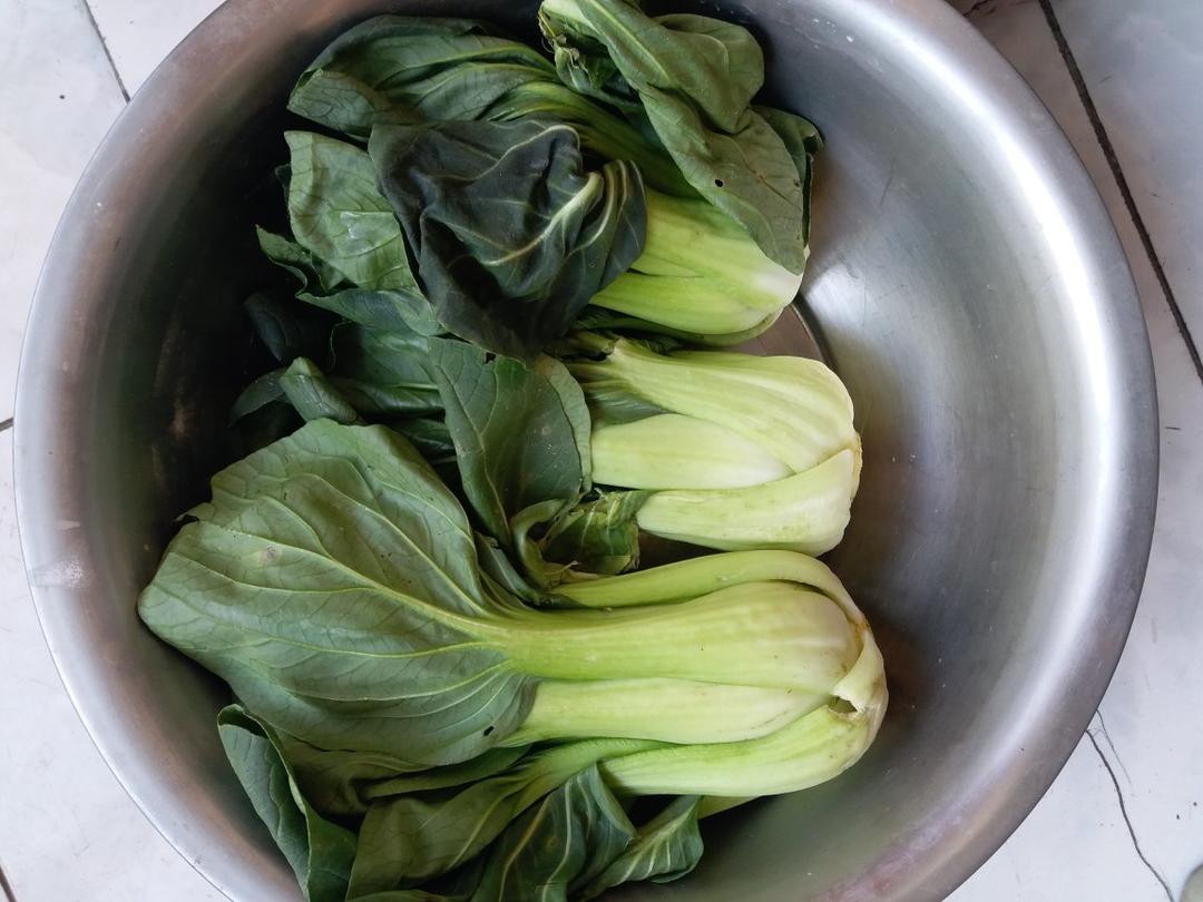 自制酸菜水腌菜