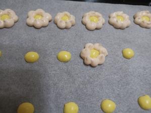 胡萝卜花朵溶豆～无糖（宝宝零食）的做法 步骤15