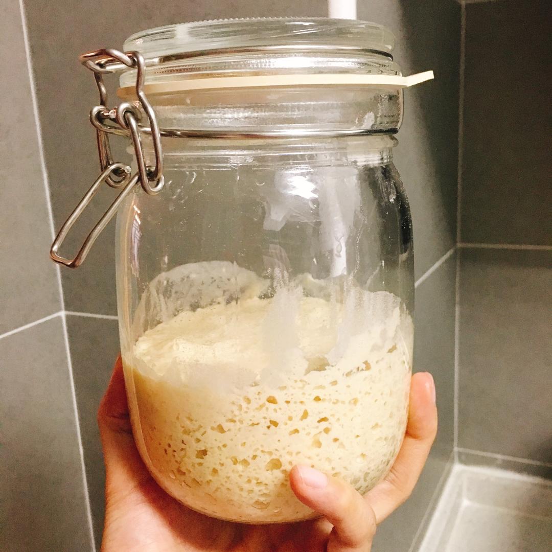 葡萄干天然酵母 到 面包 出炉… 感觉很好玩我要学！枫糖小哥版