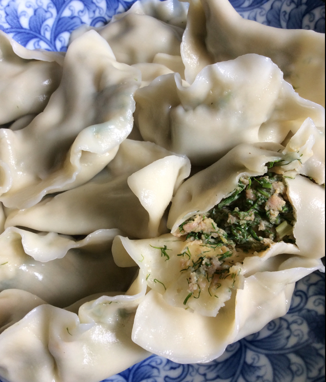 茴香苗猪肉馅水饺