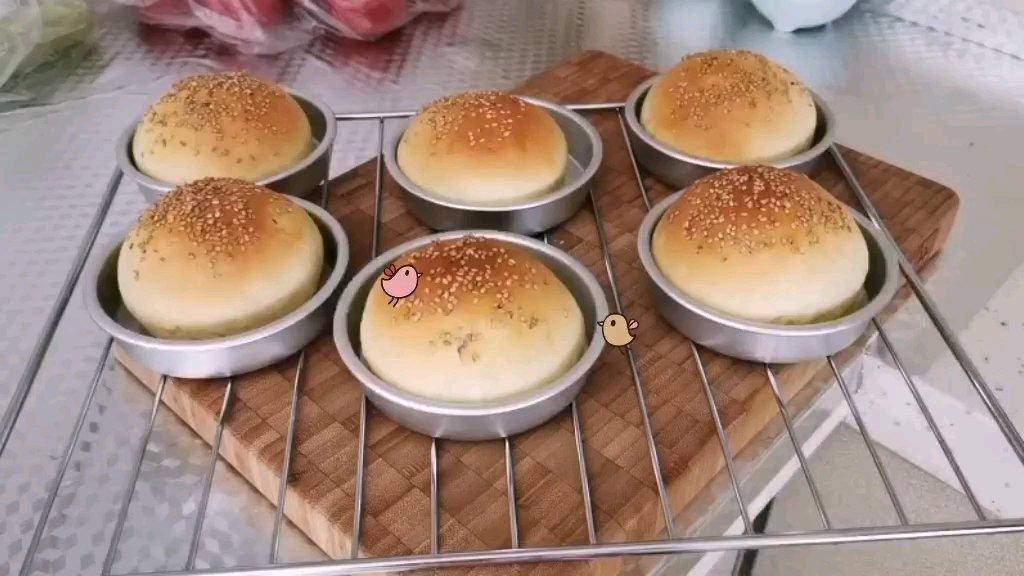 汉堡胚 poolish（波兰种）