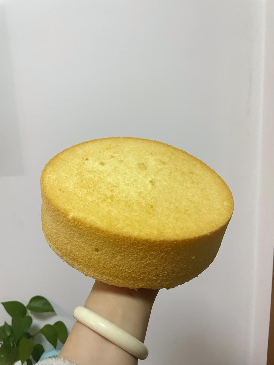 6寸，8寸，10寸戚风蛋糕配方（已更新）