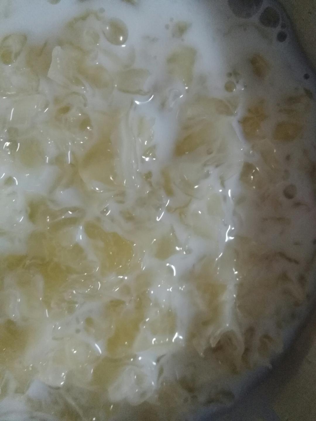 牛奶炖银耳(炖出胶质)