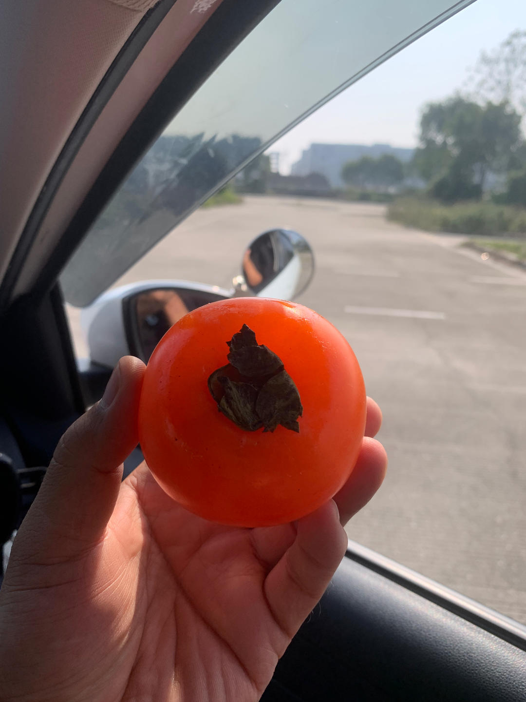青烧爱看菜