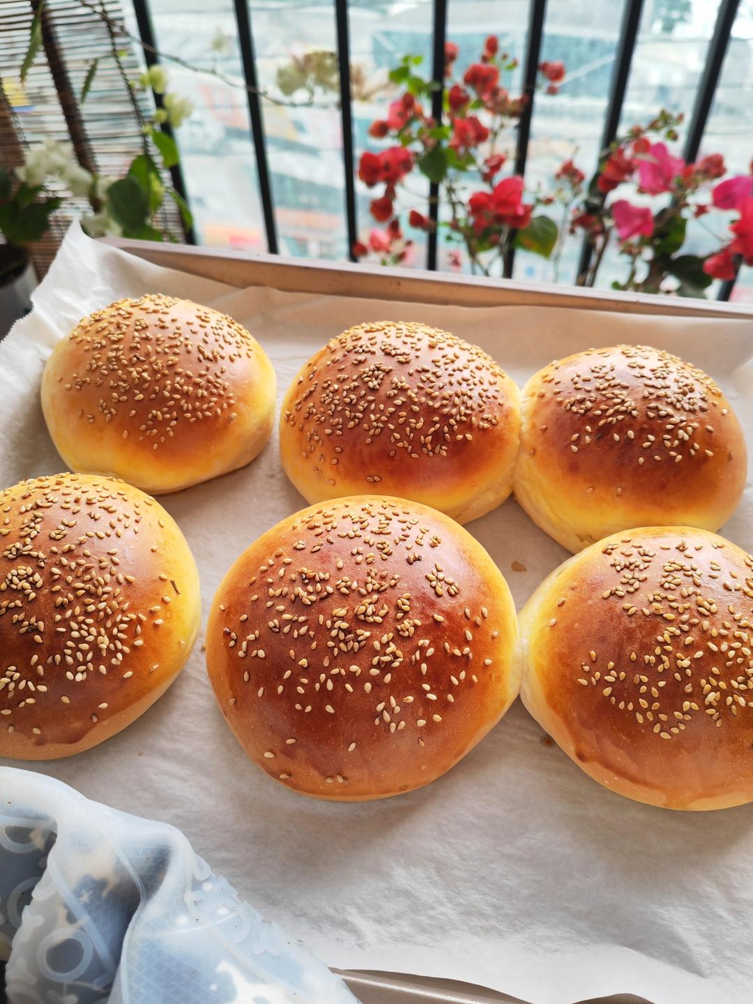 汉堡胚 poolish（波兰种）