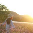 手机用户8516_c3nl