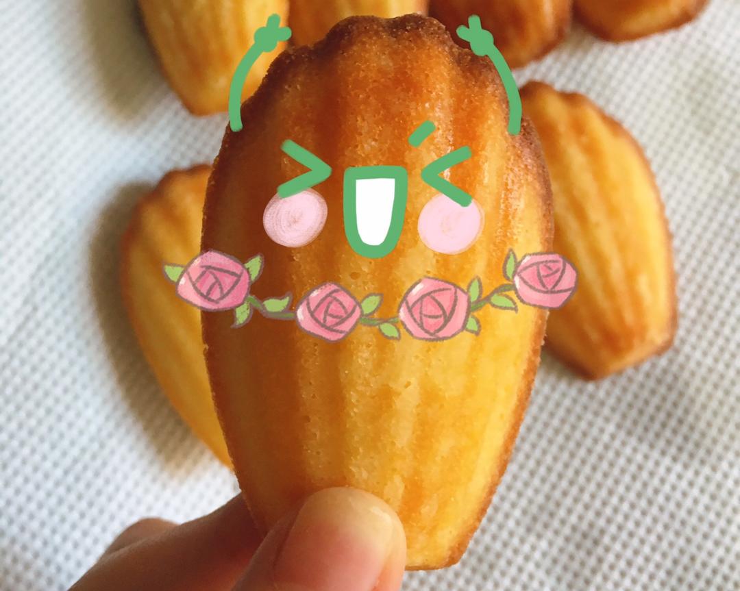 香草味小贝壳玛德琳