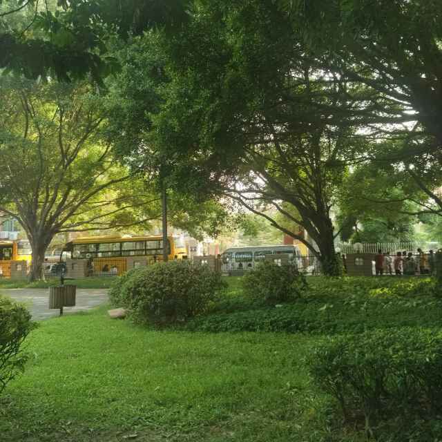 玛莎莎莎