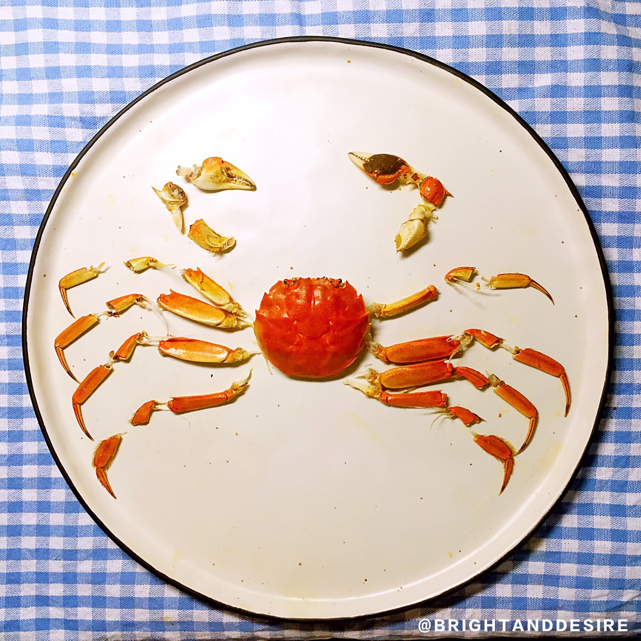 教你优雅吃蟹——清蒸大闸蟹及如何拆蟹