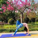 手机用户6762_aem2