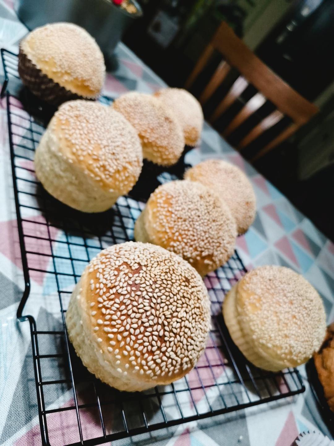鲜奶汤种汉堡胚