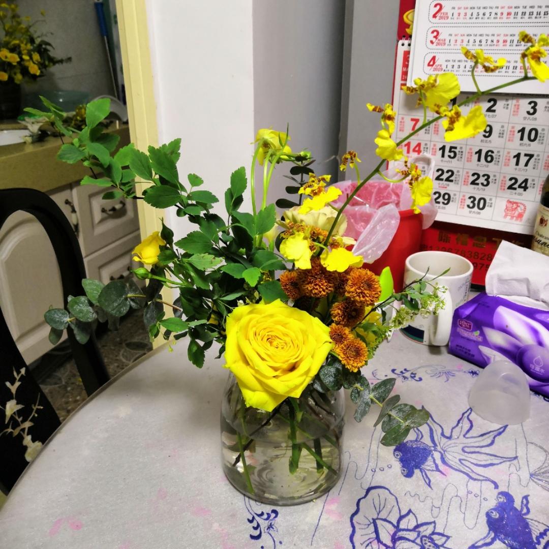 虎博嘟啦