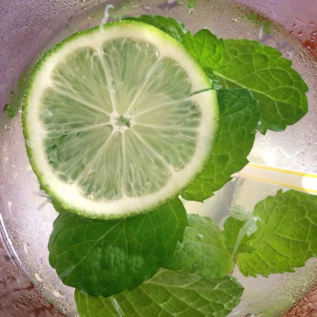 柠檬薄荷苏打水