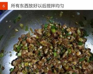 香菇肉饺子的做法 步骤6