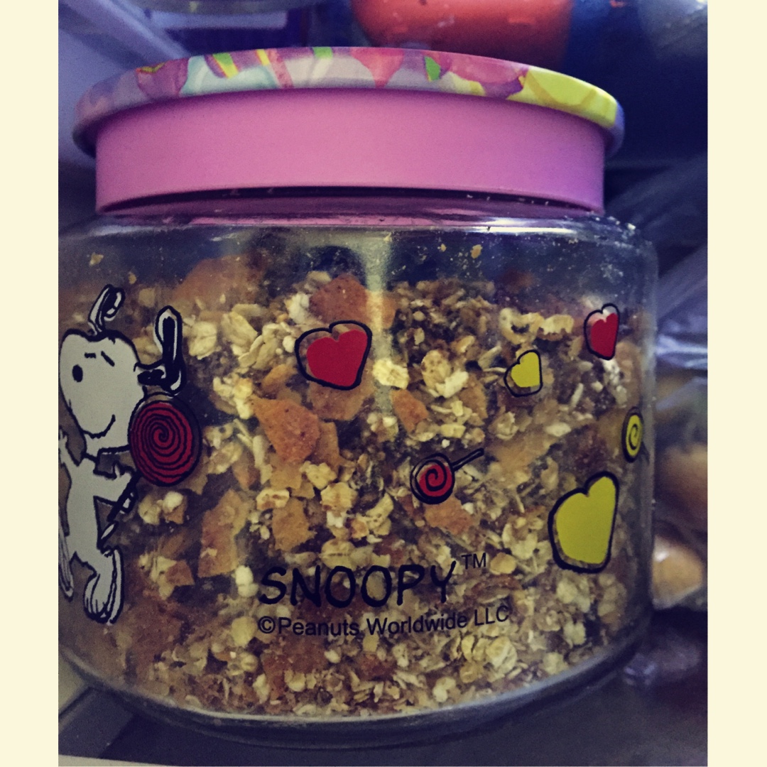 格兰诺拉燕麦片 Homemade Granola