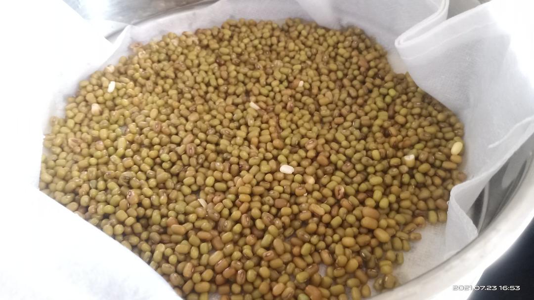 苏式绿豆汤（家庭版简易版）