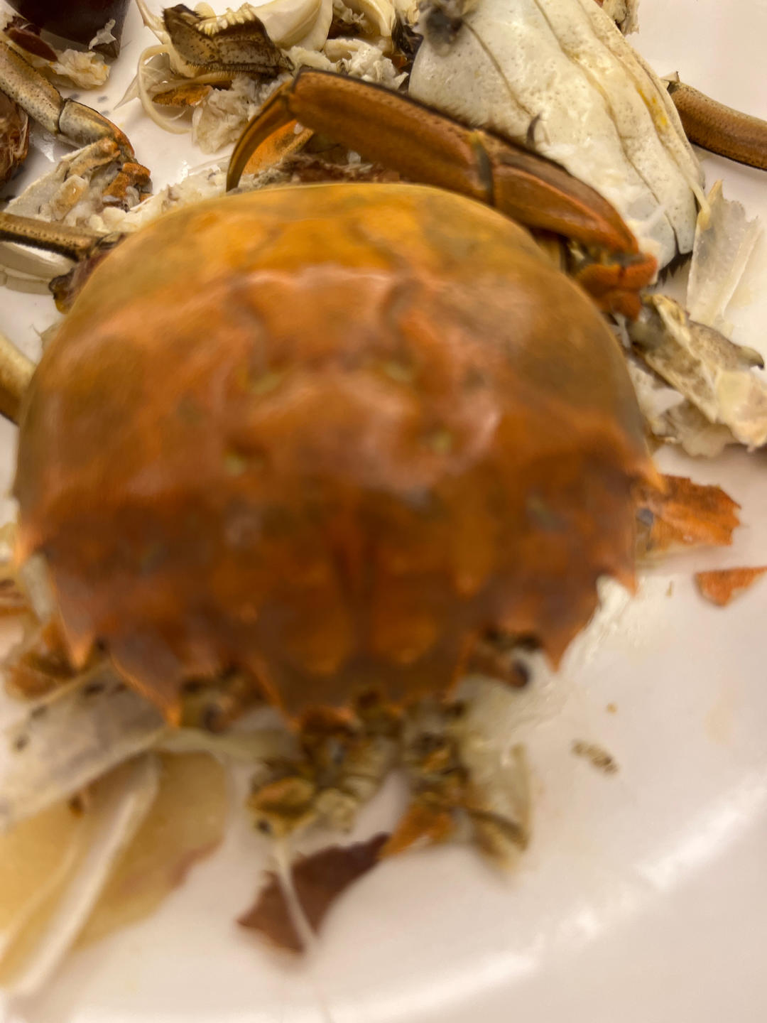 清蒸大闸蟹