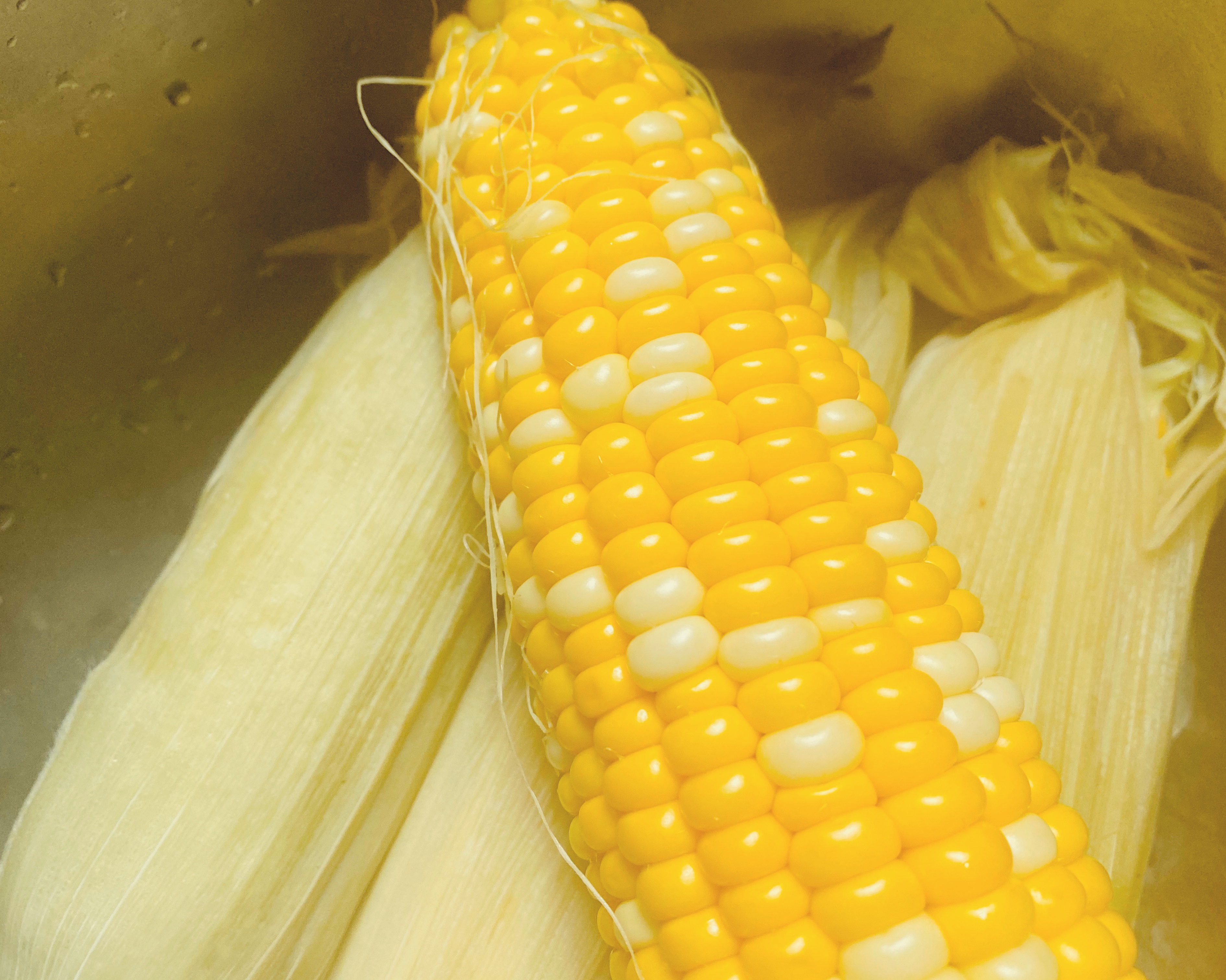 一年都新鲜的玉米保鲜法的做法 步骤6