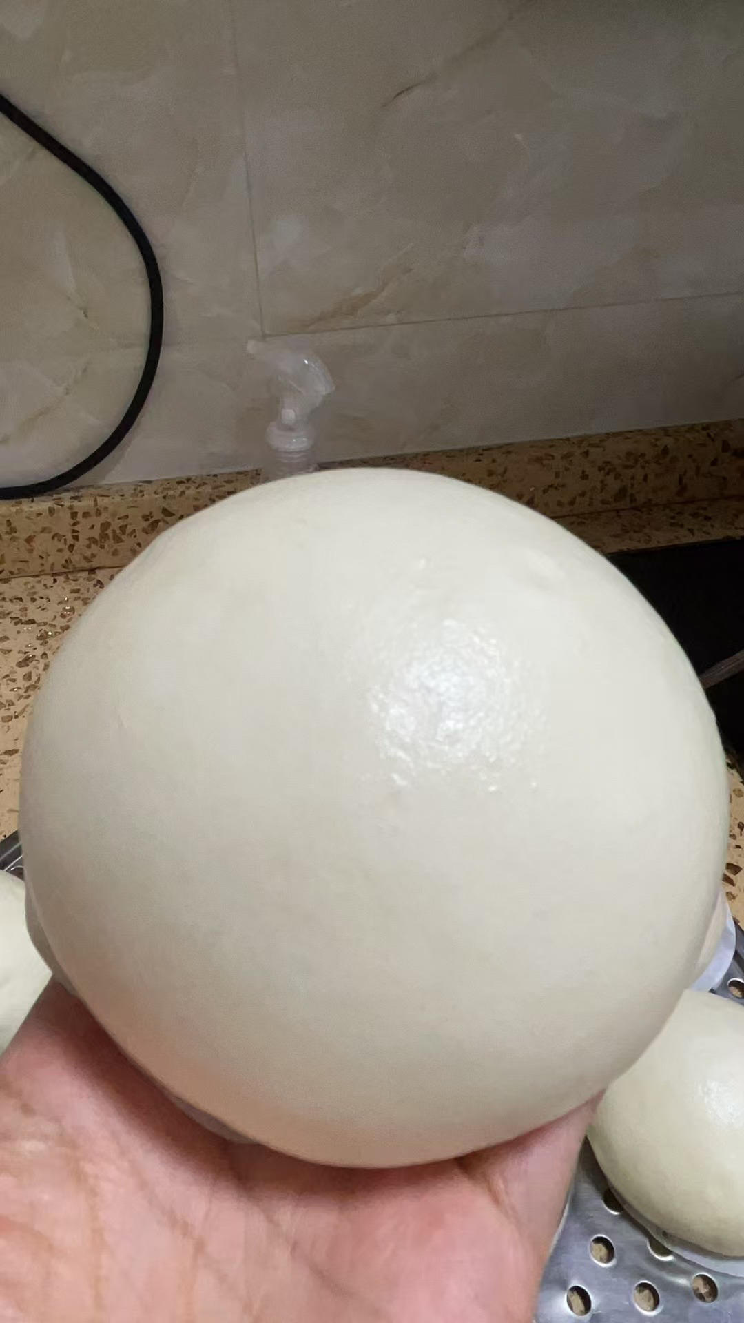 烫面馒头（一次发酵，个个水光肌）