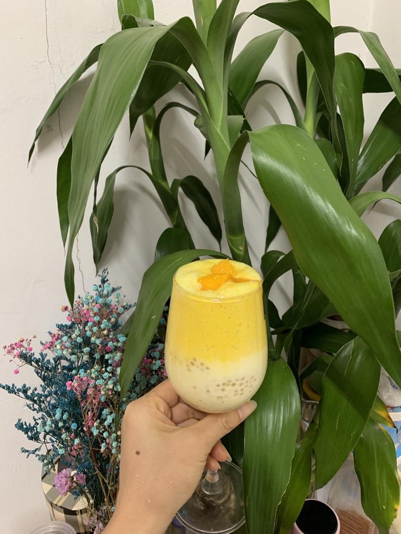 杨枝甘露小朋友超爱