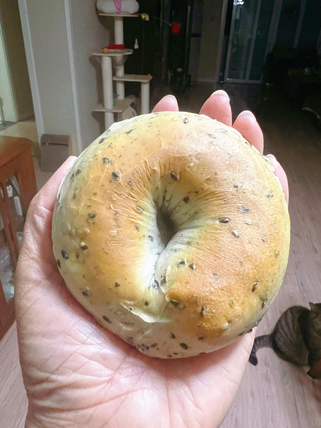 养生黑芝麻贝果🥯层层芝麻馅，一口咬下去巨香！