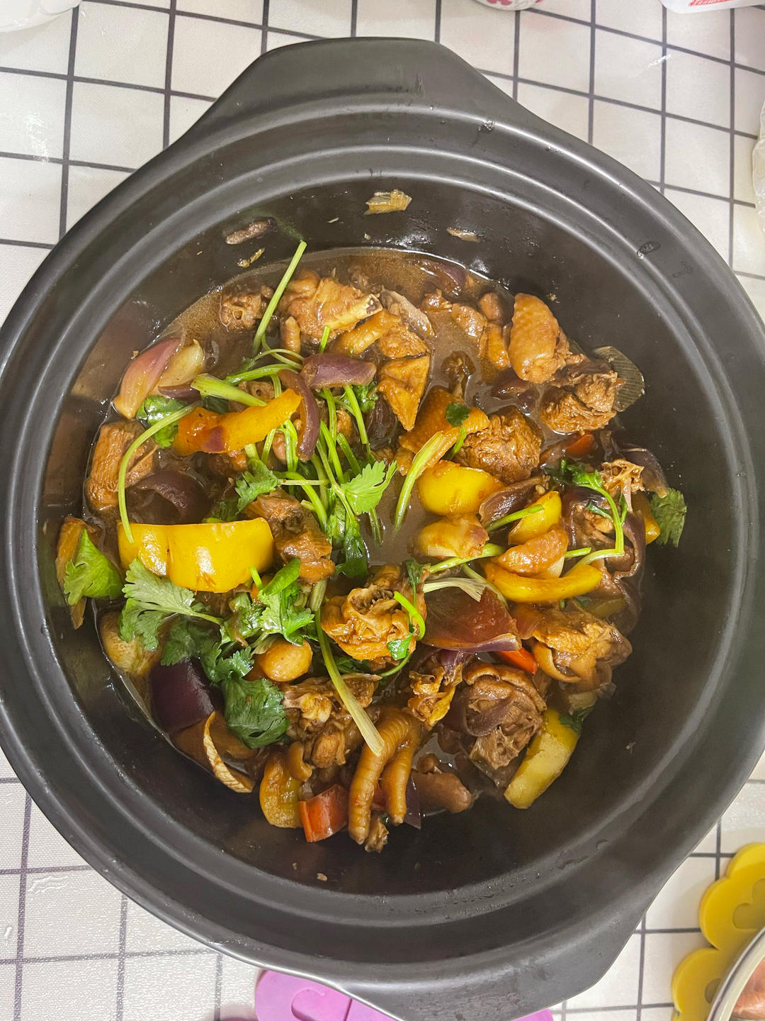 可以吃几碗饭的广东鸡煲奇味鸡煲