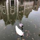 我是圆圆瓜子脸