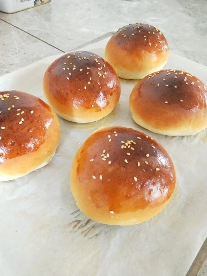汉堡胚 poolish（波兰种）