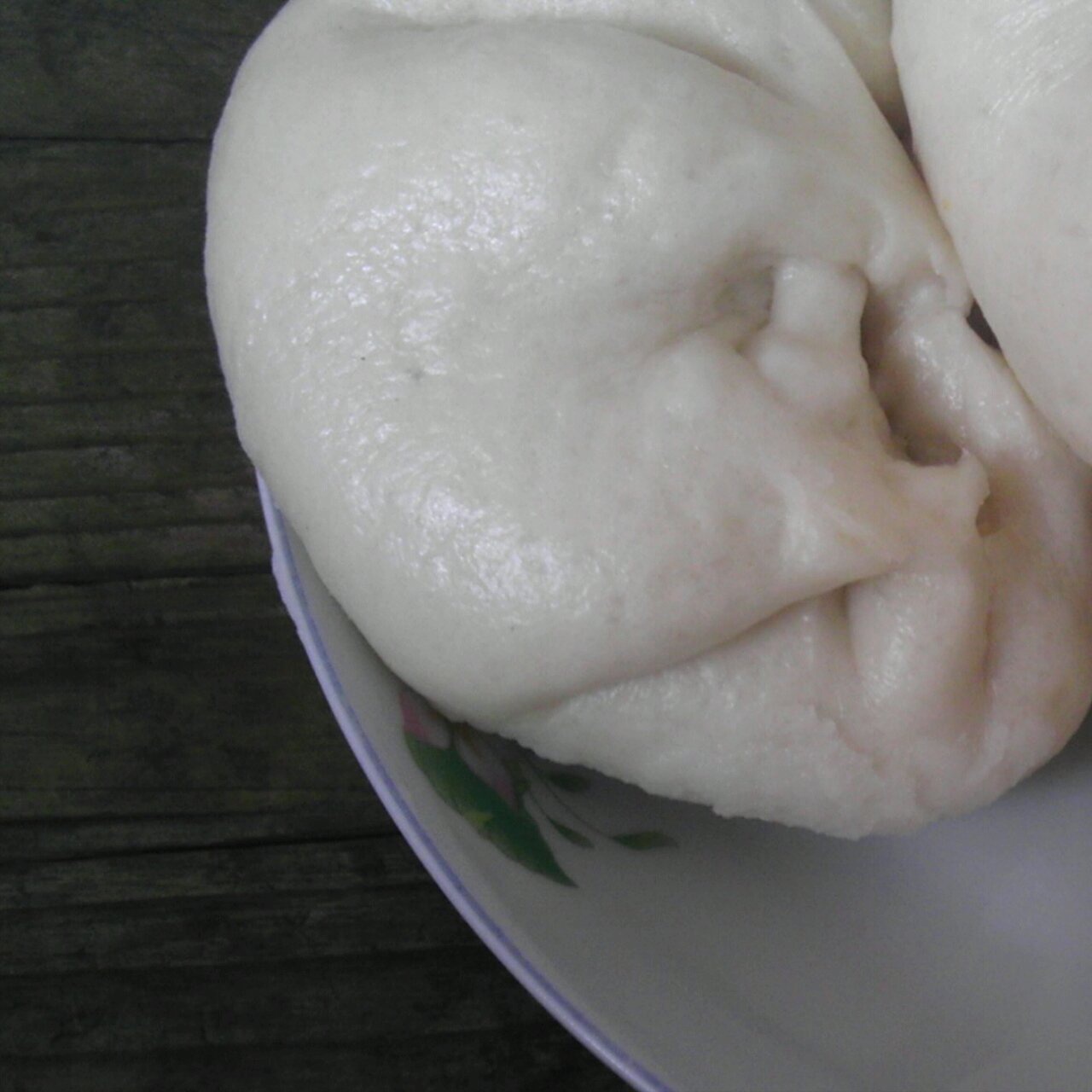 堂妈教你山菜鲜肉大包子