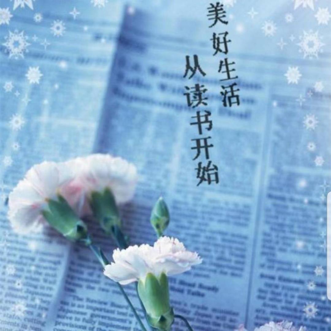 南国莲雾