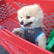 早早是万花筒wy