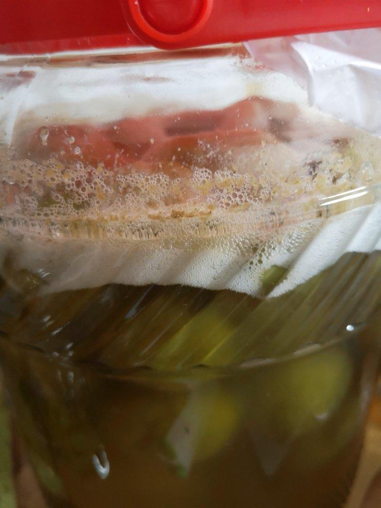 【古法蜂蜜青梅酒】不用高度酒，纯靠发酵出来的青梅酒