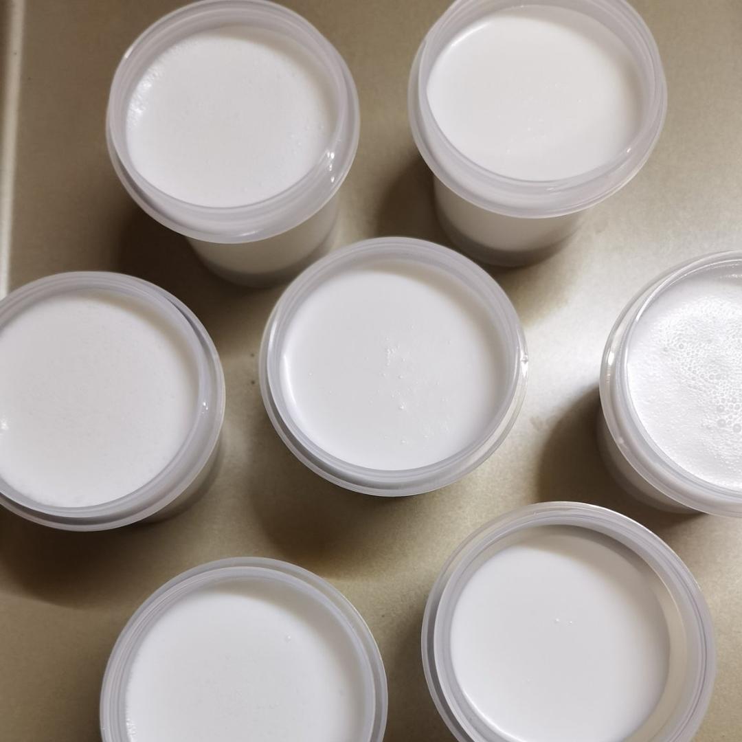 《Tinrry下午茶》网红椰子冻