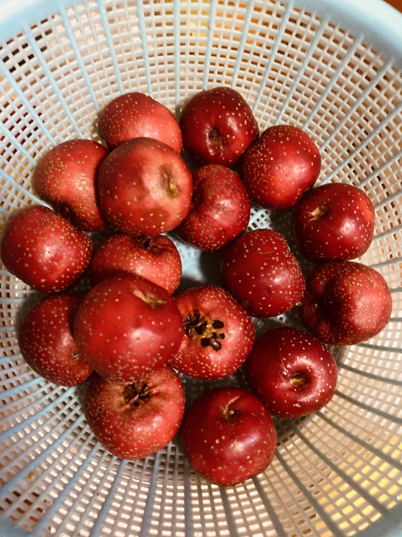 easy•山楂糖雪球