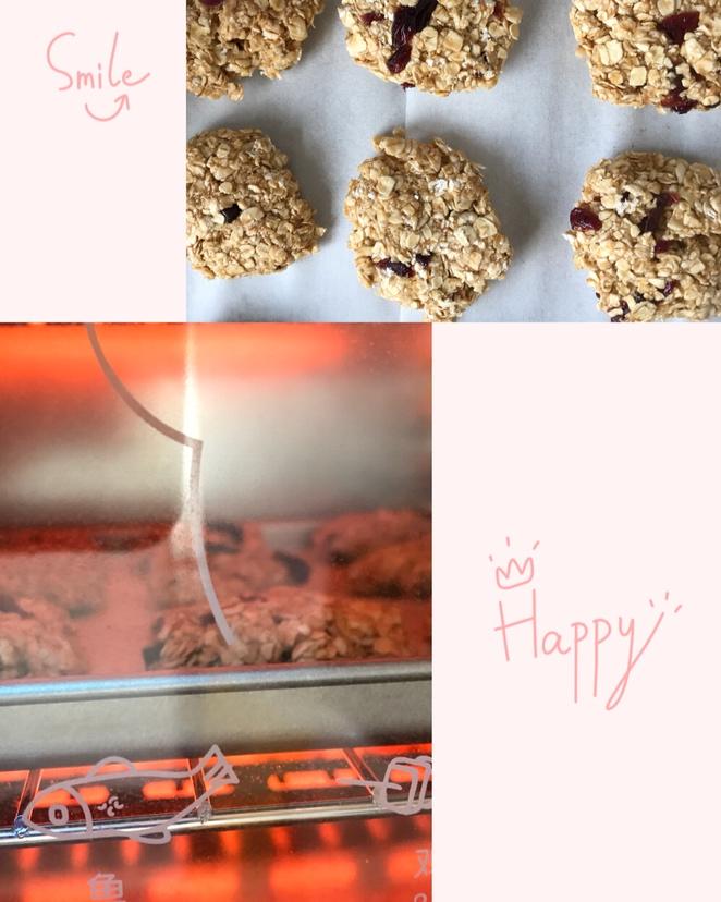 纯燕麦减肥零食饼干