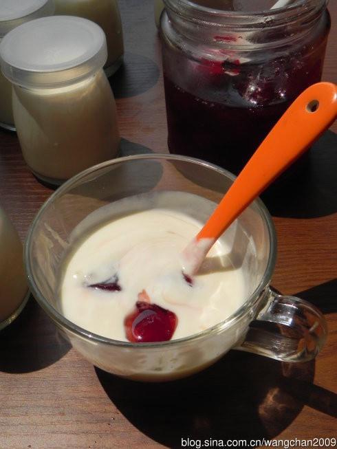 自制特浓酸奶的做法