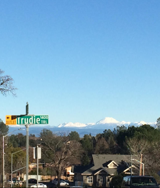 人生路漫漫白鹭常相伴