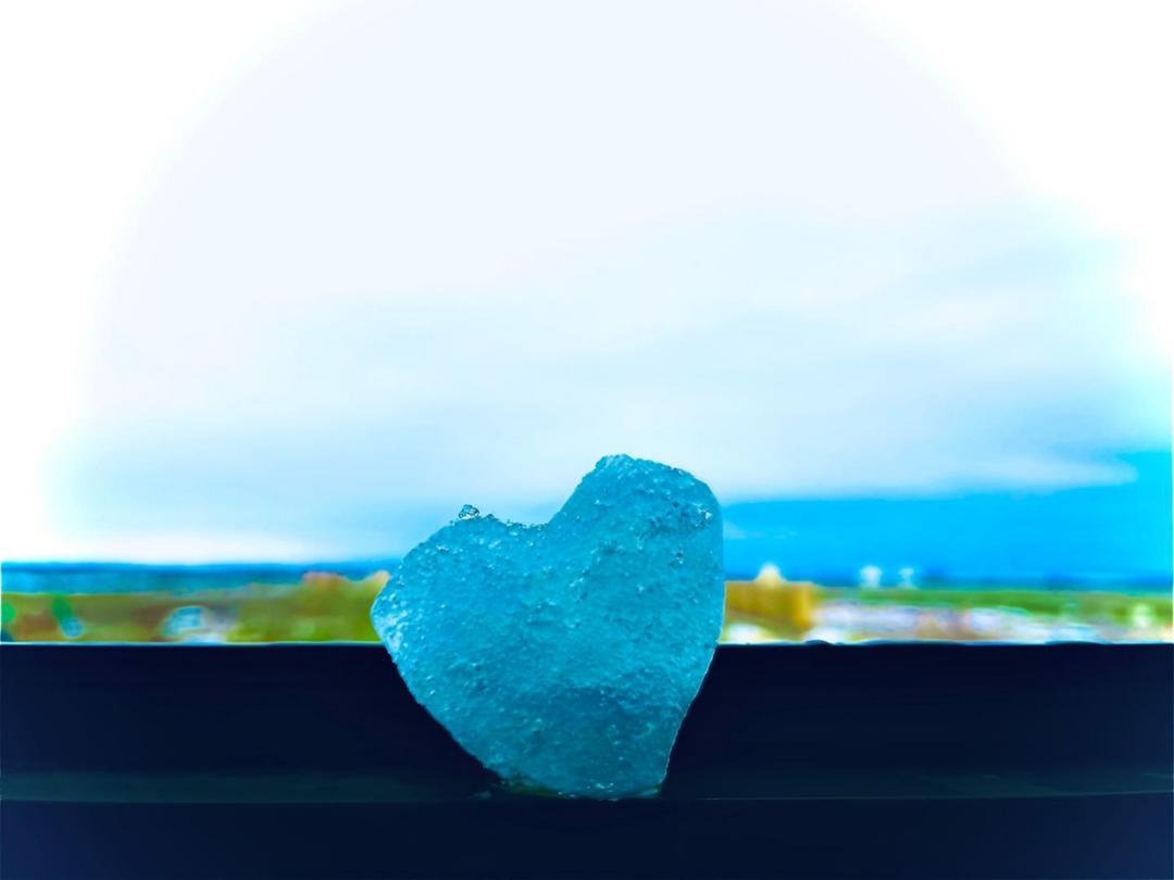 婲开可归矣