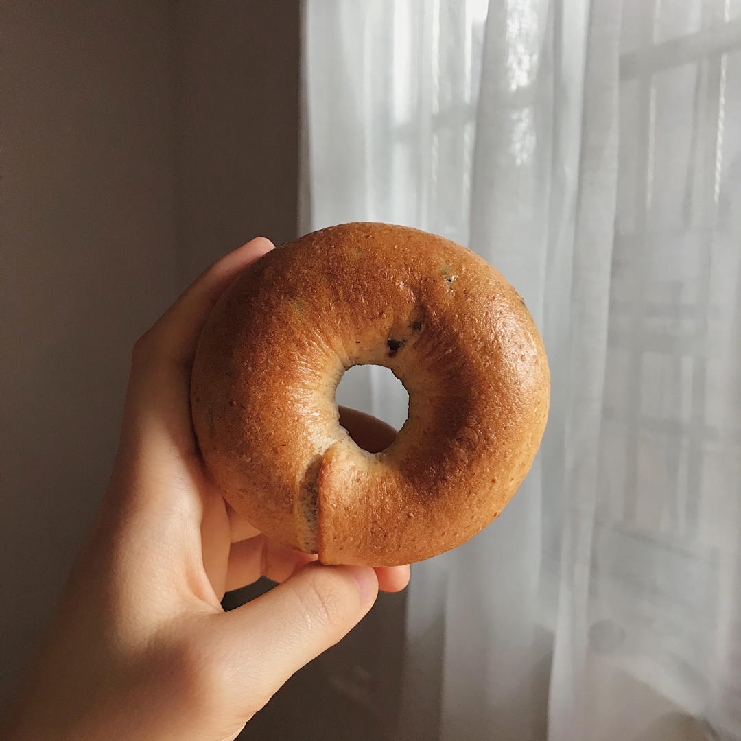 来吃圈圈吧！——全麦蔓越莓贝果