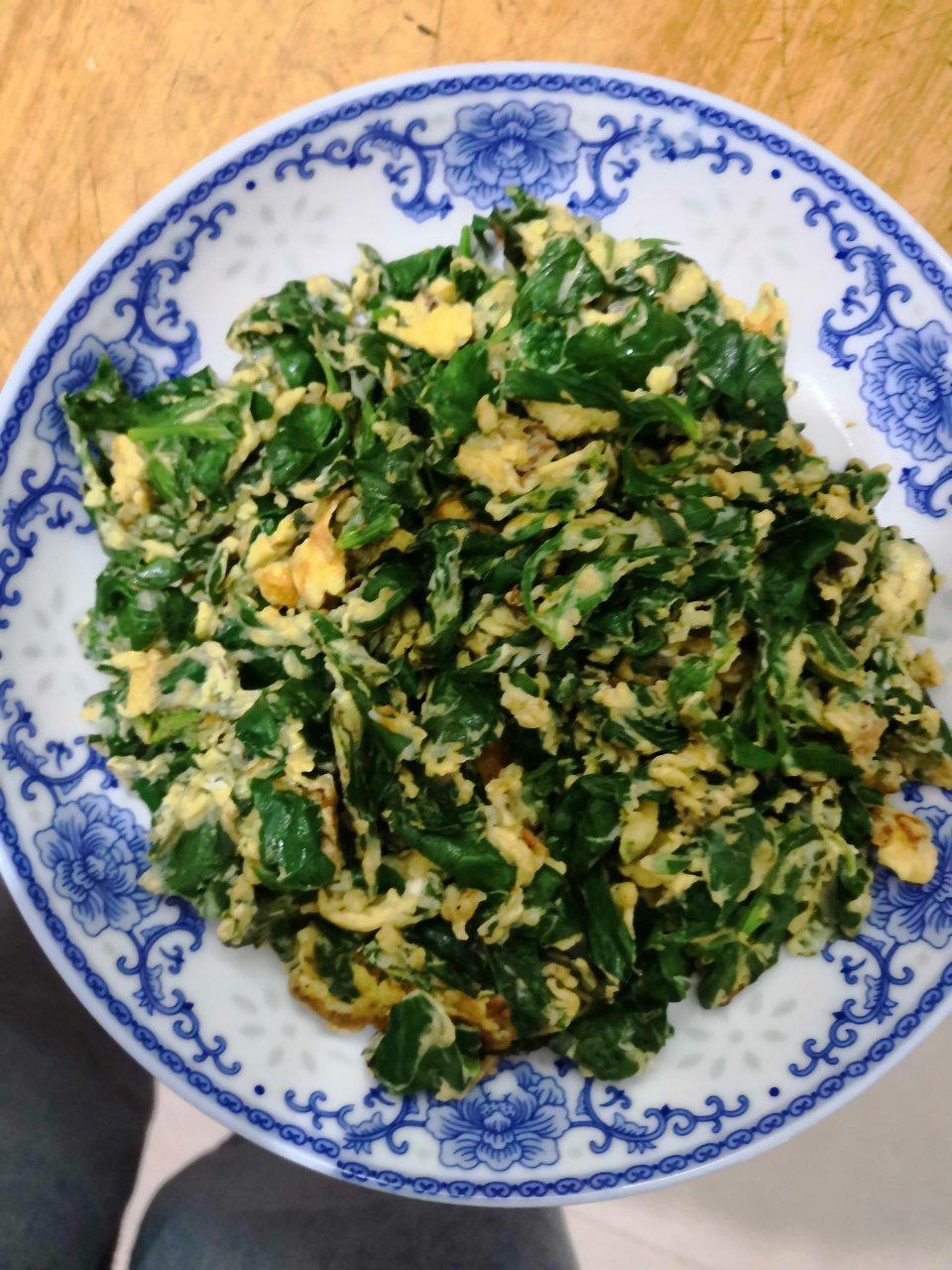 小婷食光🔆芹菜叶炒鸡蛋