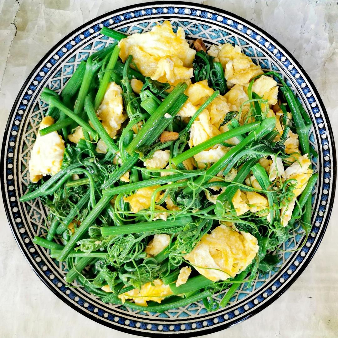 drjulia做的清炒丝瓜苗